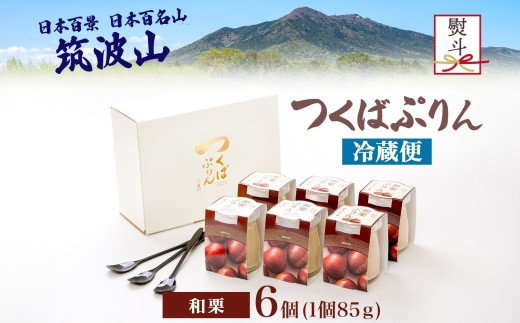 無地熨斗 つくばぷりん ショコラ・ヴィノ・プディング ６個 プリン ぷりん ショコラ チョコレート 牛乳 ミルク 卵 赤ワイン スイーツ 贅沢 洋菓子 おやつ 冷菓 ご褒美 デザート 人気 グルメ お