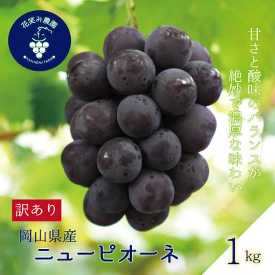 岡山　花笑み農園の 『訳ありニューピオーネ』1kg　WP-1【配送不可地域：離島】【1628312】