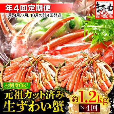 ふるさと納税 敦賀市 【定期便 年4回】【生食可】ますよね商店の元祖カット済み生ずわい蟹1.2kg(総重量1.6kg)