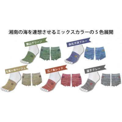 ふるさと納税 葛城市 ビーソク(R) 5色組 レディース メンズ キッズ 靴下 |  | 03