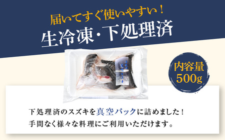 若狭湾の朝獲れ 天然 スズキ 約500g (約250g×2パック) 下処理済!生冷凍!だから人気!【 魚介類 切り身 白身 】[m17-a072]