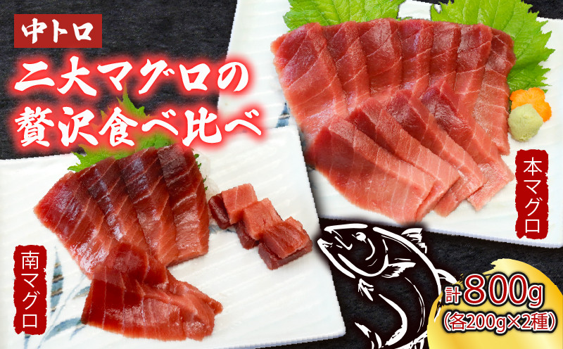 
            厳選天然本まぐろ中トロ２柵　と　厳選天然南まぐろ２柵 食べ比べ 合計800ｇ まぐろ マグロ 鮪 本マグロ 本まぐろ 天然 父の日
          