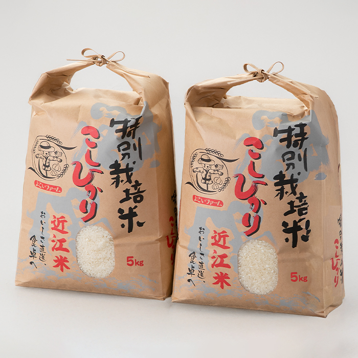 【C-546】【令和7年産　新米】よこいファーム 特別栽培米コシヒカリＡ　10kg（5kg×2） ［高島屋選定品］_イメージ2