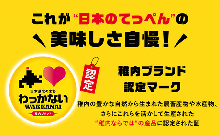 【稚内ブランド認定品】宗谷岬牧場のハンバーグ　120g4枚入×6箱(合計24枚)【配送不可地域：離島】【1900127】