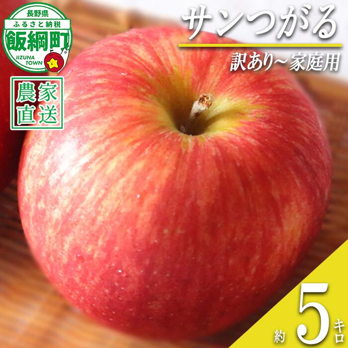 【ふるさと納税】 りんご サンつがる 訳あり 〜 家庭用 5kg マルハ農園 沖縄県への配送不可 令和8年度収穫分 エコファーマー認定 長野県 飯綱町 〔 信州 果物 フルーツ リンゴ 林檎 長野 13000円 予約 農家直送 〕発送時期：2026年9月上旬〜2026年9月下旬