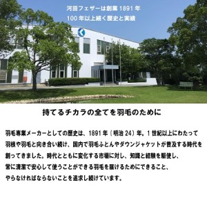 【河田フェザー】 国産 羽根クッション 低反発 高反発 座布団 クッション 羽根 ホワイト 日本製 大きい おおきめ カバー セット おしゃれ kawada 河田フェザー 正規品 癒し やすらぎ 高級