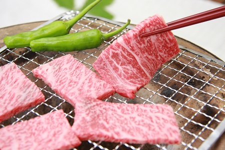 奥出雲和牛赤身焼肉用450g 【肉質日本一!しまね和牛 黒毛和牛 贈答用 冷蔵 チルド 日時指定 Ａ-5】