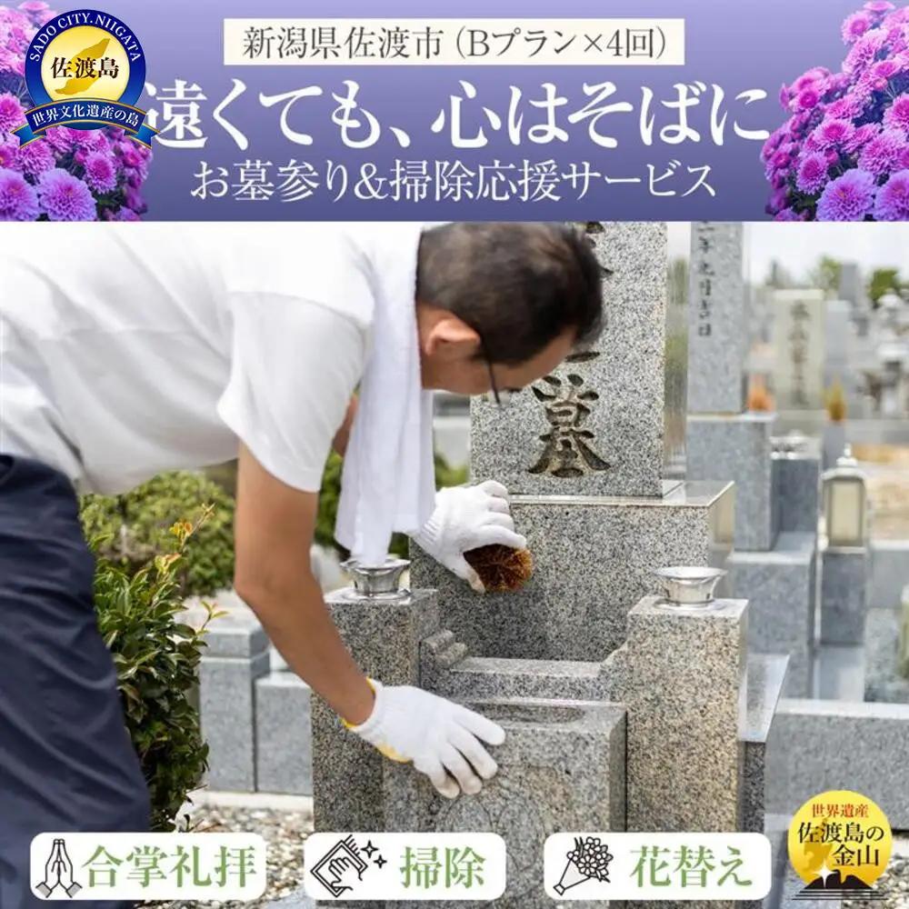 【新潟県佐渡】佐渡島内 お墓参りプランBを年4回 応援サービス 合掌拝礼・花替え・墓石水洗い・簡易除草・タクシー送迎（5,000円まで年1回付き） 「遠くても、心はそばに」