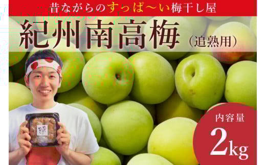 ［先行予約］樹上南高梅の青梅 約2kg 追熟用 梅ボーイズ 紀州南高梅 5月中旬～6月中旬頃に順次発送予定 A-093a