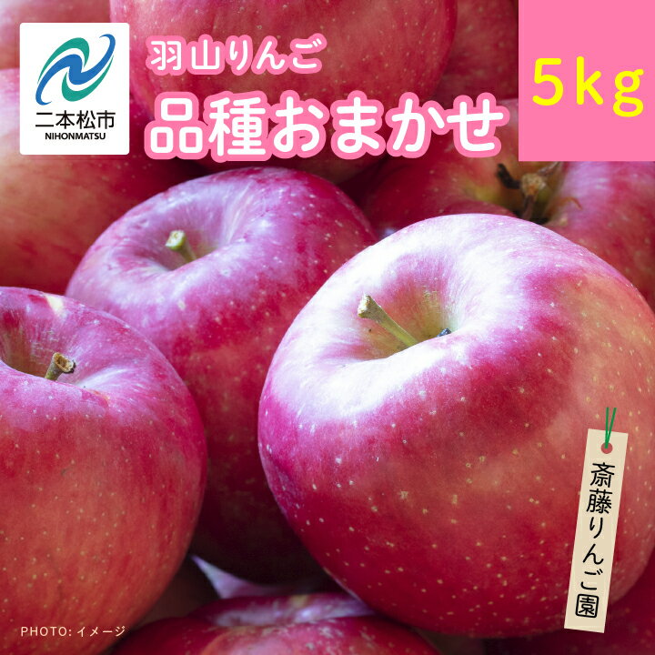 【ふるさと納税】 【3ヶ月定期便】品種おまかせ！羽山のりんご5kg×3回 りんご リンゴ 果物 フルーツ 羽山りんご 5kg 早生 人気 くだもの おすすめ お中元 お歳暮 ギフト 二本松市 ふくしま 福島県 送料無料 【斎藤りんご園】