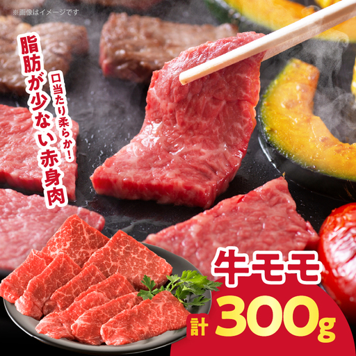 【2週間以内発送】≪訳あり≫牛&豚 贅沢盛り合わせ（牛モモ・カルビ・豚バラ）合計1.2kg 肉 牛 豚 豚肉 牛肉 おかず 国産_T025-045