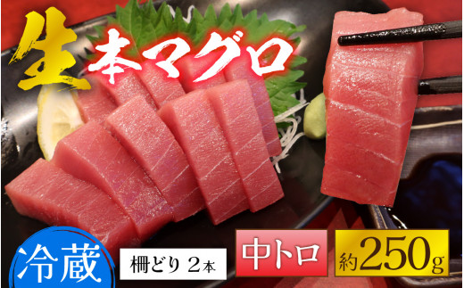 
【冷蔵・指定日着可】生本マグロ中トロ 約250g 2～3人前 [A-066005]
