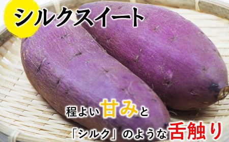 さつまいも 5kg 熊本県産 シルクスイート 紅はるか