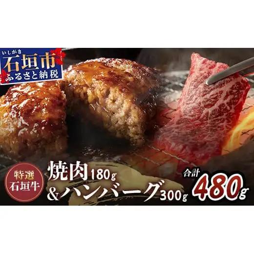 石垣牛100% ハンバーグ (100g×3個) ＆ 石垣牛 お任せ焼肉 (180g)