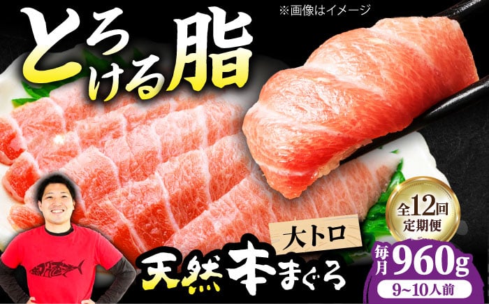 
            【全12回定期便】極上！たね熟天然本まぐろ大トロ(960g) 天然 マグロ 鮪 大トロ 刺身 魚 魚介 魚介類 海鮮丼 本マグロ 本まぐろ 本鮪 赤身 大トロ 冷凍 お刺身 お寿司 大阪府高槻市/本まぐろ直売所 [AOCE030]
          