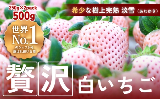 【完熟クラフト苺BERRY】海外セレブ御用達【樹上完熟白いちご】淡雪（あわゆき）約500g（出荷2026年12月上旬～2027年5月下旬）【yuji0004】
