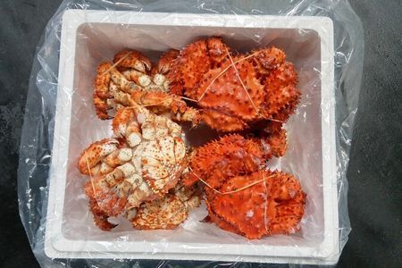 [12月21日決済分まで年内配送]【北海道根室産】花咲ガニ400g×6尾 C-57049