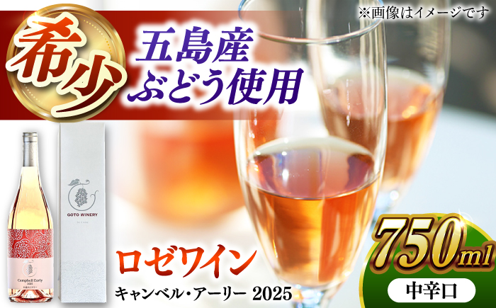 キャンベル・アーリー ロゼ 2025 酒 お酒 ワイン ロゼワイン ぶどう 葡萄五島市/五島ワイナリー [PAG030]