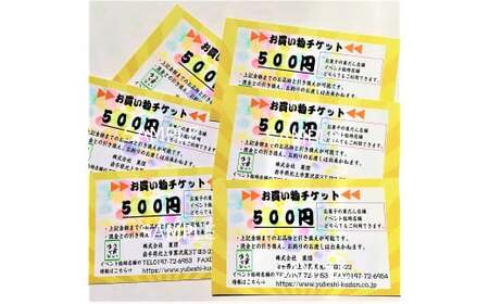 株式会社 菓団で使える3000円分チケット（500円×6枚）お買い物チケット（500円×6枚）商品券 金券 チケット 有効期限なし 地元のお菓子屋さん 銘菓 和菓子 お土産 おもたせ 岩手県北上市 C0337　菓団