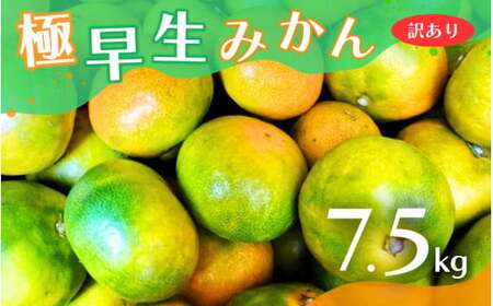 【2026年秋頃発送予約分】【訳あり】こだわりの極早生みかん 約7.5kg ※2026年10月～11月に順次発送予定（お届け日指定不可） 有機質肥料100% サイズ混合  有田産【nuk166B】 