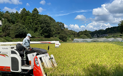 美星町産 コシヒカリ 日の里米 精米10kg（５kg×2袋）