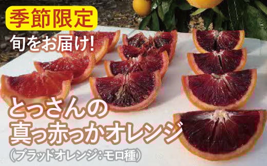 
            とっさんの真っ赤っかオレンジ（ブラッドオレンジ：モロ種）（配達指定日不可）【ブラッドオレンジ 2箱 3kg～4kg 有機栽培 無農薬 オレンジ おれんじ くだもの 果物 フルーツ スムージー ジュース】
          