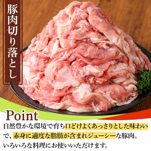 鹿児島県産豚肉・鶏肉セット(計3kg) 国産 九州産 鹿児島県産 鶏肉 鳥肉 鶏 とり 若鶏 豚肉 切り落とし 切落し 冷凍 もも モモ 小分け 真空 【TRINITY】_y551