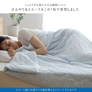 アイスとろーりケット　肌掛け布団　ダブル（ブルー）_アイス とろーりケット 肌掛け 布団 ダブル 180 × 200cm カラー ブルー キルトケット ひんやり 冷感 洗える 夏 熱帯夜 柔らか リバ