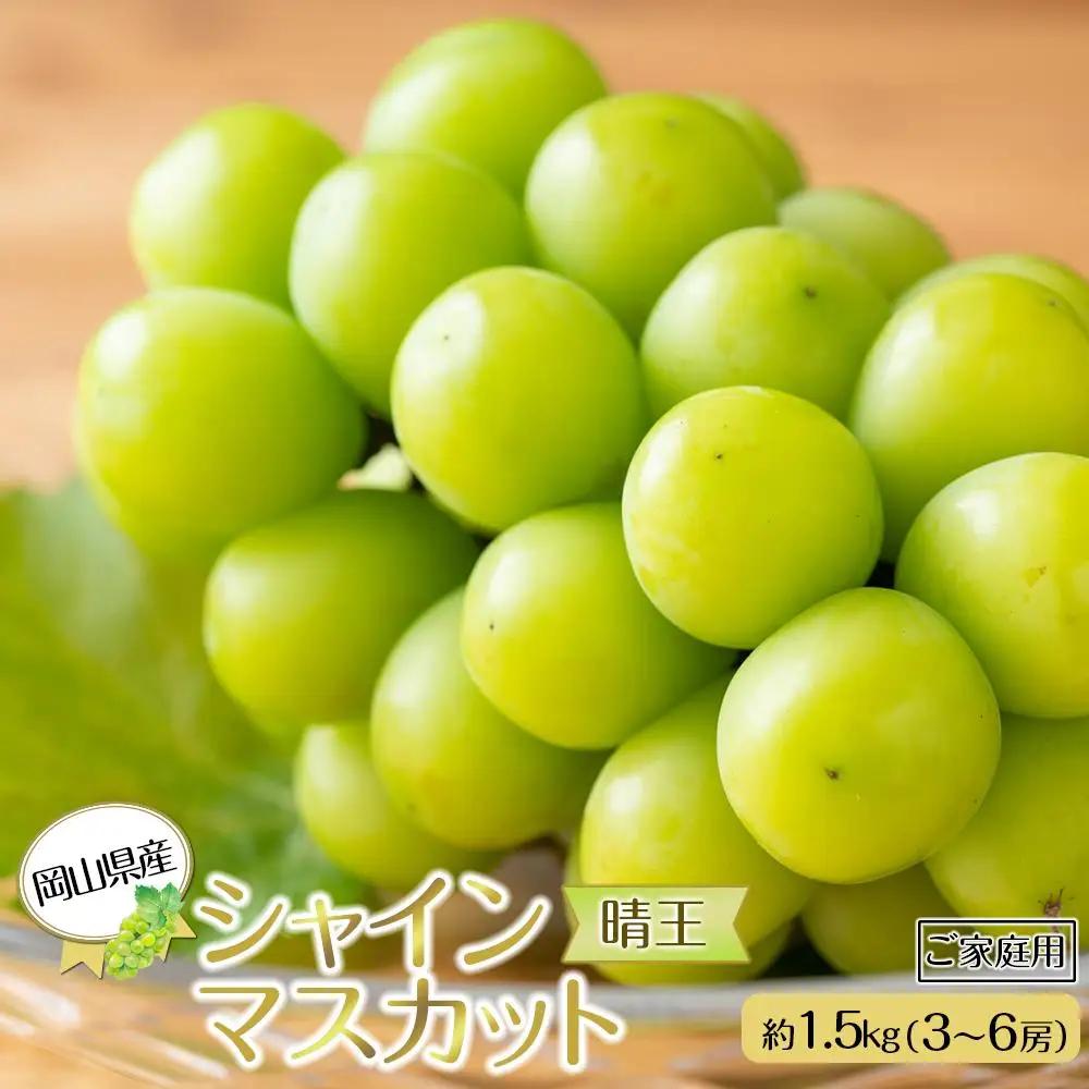 岡山県産 ぶどう  2026年発送 ご家庭用 シャインマスカット 晴王約1.5kg （3～6房）フルーツ 果物 | シャインマスカット