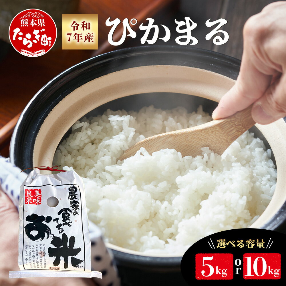 【ふるさと納税】≪R7年産 新米予約 ≫ ぴかまる 5kg / 10kg 選べる 米 新米 熊本県 米どころ 多良木町 農家が食べる お米 ごはん ご飯 農家直送 産地直送 甘み 米 白米 精米 熊本県 多良木町 食味 受賞歴 送料無料