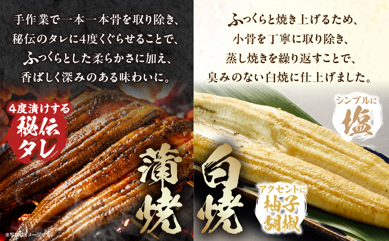 国産うなぎ蒲焼・白焼(大サイズ) 各2尾セット 国産 うなぎ 蒲焼 白焼 詰め合わせ セット 食べ比べ 味比べ 鰻 ウナギ うなぎ蒲焼 うなぎ蒲焼き 鰻の蒲焼き 蒲焼き 白焼き 小分け 冷凍 パック 