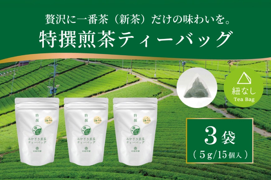 お茶 ティーバッグ 特撰 みやざき煎茶 3袋 セット [谷岩茶舗 宮崎県 日向市 452061734] ティーパック 茶 茶葉 緑茶 新茶 お茶の葉
