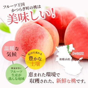 【予約受付】桃の王様 白鳳 <特秀品> 約2kg（6個~9個） 2025年6月末頃～2025年7月末頃に順次発送予定（お届け日指定不可）/ 桃 もも 白鳳 フルーツ 果物 くだもの 【kgr009】