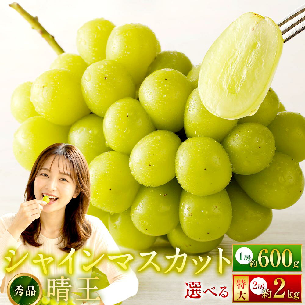 【ふるさと納税】＜選べる内容量＞ シャインマスカット 晴王 秀品 1房（約600g） / 特大 2房（約2kg） ぶどう ブドウ 葡萄 フルーツ くだもの 果物 果実 デザート 種なし 皮ごと ギフト 贈答 贈り物 冷蔵 国産 岡山県産 美咲町 送料無料 【2026年9月上旬から10月下旬迄発送】