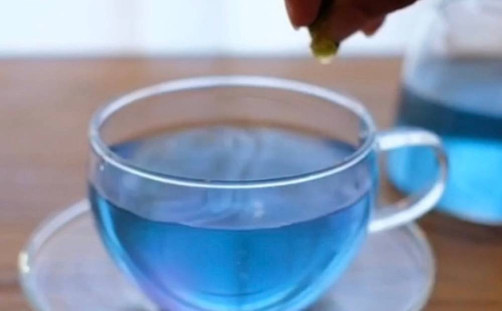 南の島恵み農園 色が変わる!!南の島恵み茶 3袋セット 24g(8g×3袋) 