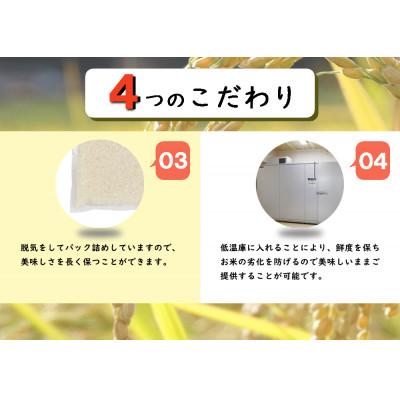 ふるさと納税 十日町市 【毎月定期便】【無洗米】新潟県魚沼産 川西コシヒカリ 2合(300g)×10袋入(計3kg)全6回 |  | 02