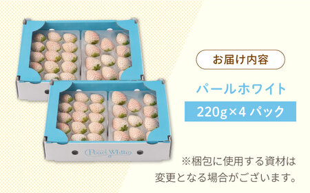 【先行予約 2027年1月～発送】【希少白いちご】「パールホワイト」220g×4p / いちご [IZZ020]