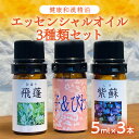 【ふるさと納税】健康和漢精油3本セット エッセンシャルオイル 精油 アロマ 国産 甘夏 ヨモギ 柚子 びわ 紫蘇 15000円