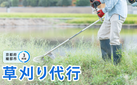 管理地の草刈りサービス代行（3時間）【 選べる 作業時間 草刈り 除草作業 草刈り作業 ふるさと 実家 代行 便利屋 地域密着 綾部 京都 】