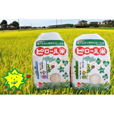 ふるさと納税 久喜市 令和6年産　但木米店のピロール米セット ー夢ごこち&新生夢ごこちー 5kg(2.5kg×2袋) |  | 01
