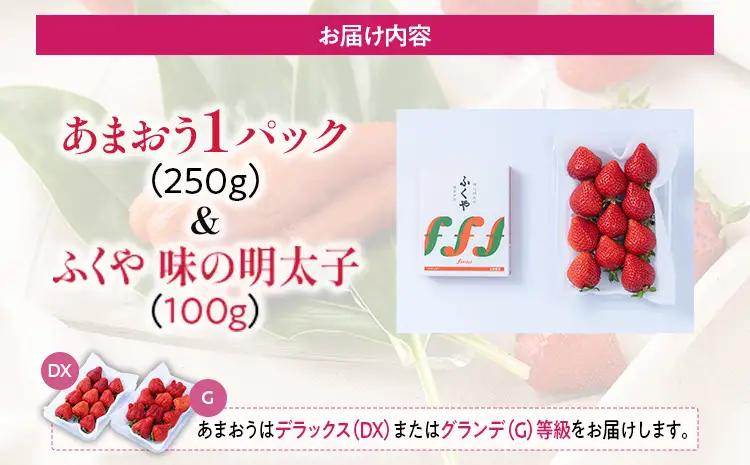 あまおう 1パック ＆ ふくや味の明太子 100g 明太子 惣菜 あまおう イチゴ いちご スイーツ 果物 フルーツ 送料無料【12月上旬発送開始予定】