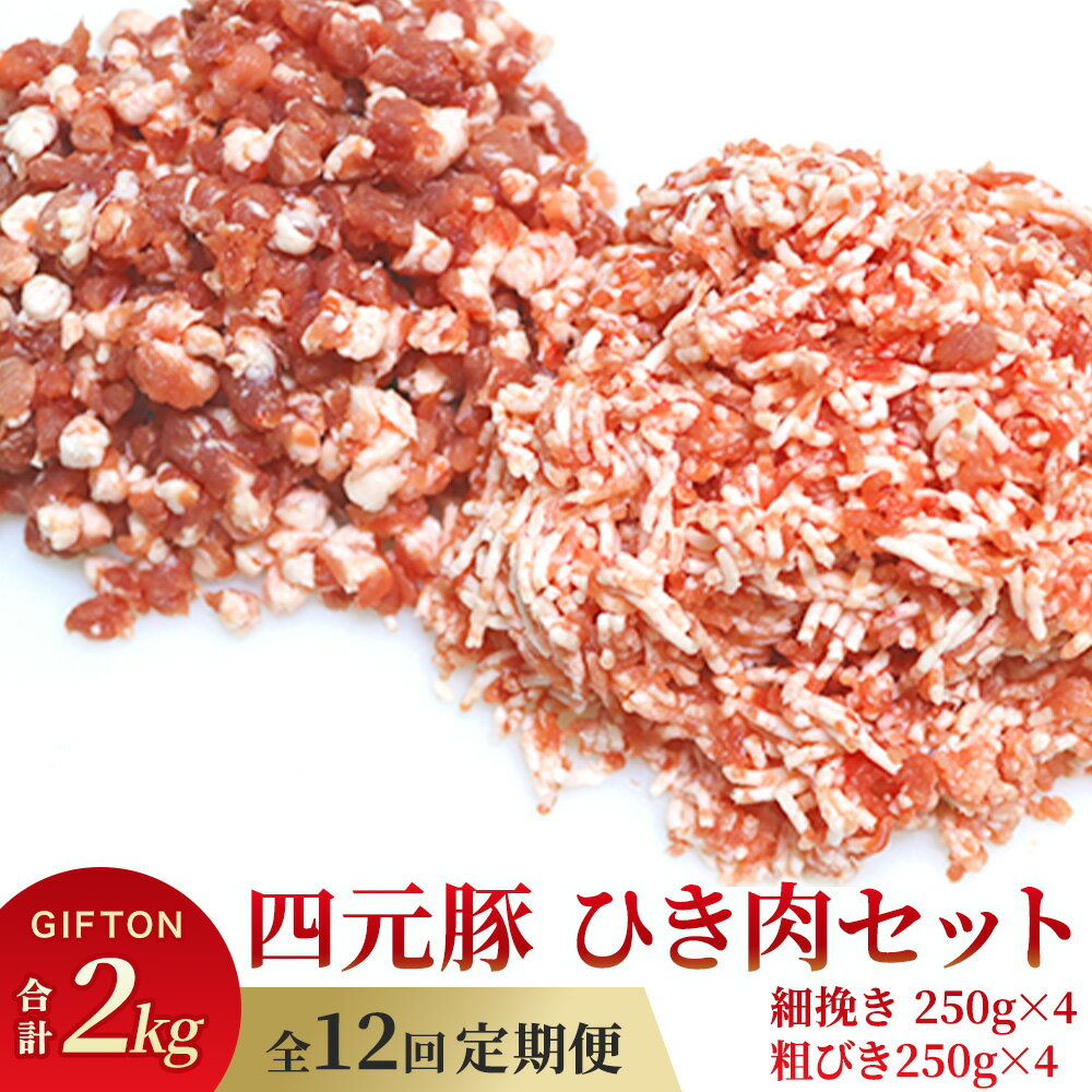 【ふるさと納税】定期便 12ヶ月 岩手 四元豚 ひき肉 2kg セット GIFTON ( 細挽 250g ×4 粗挽 250g ×4 ) 豚肉 ブランド豚 ミンチ ポーク 挽肉 挽き肉 豚肉 粗挽 細挽 小分け ハンバーグ 麻婆豆腐 餃子 冷凍 夕飯 料理 ごえん 株式会社 ※レビューキャンペーン対象品※