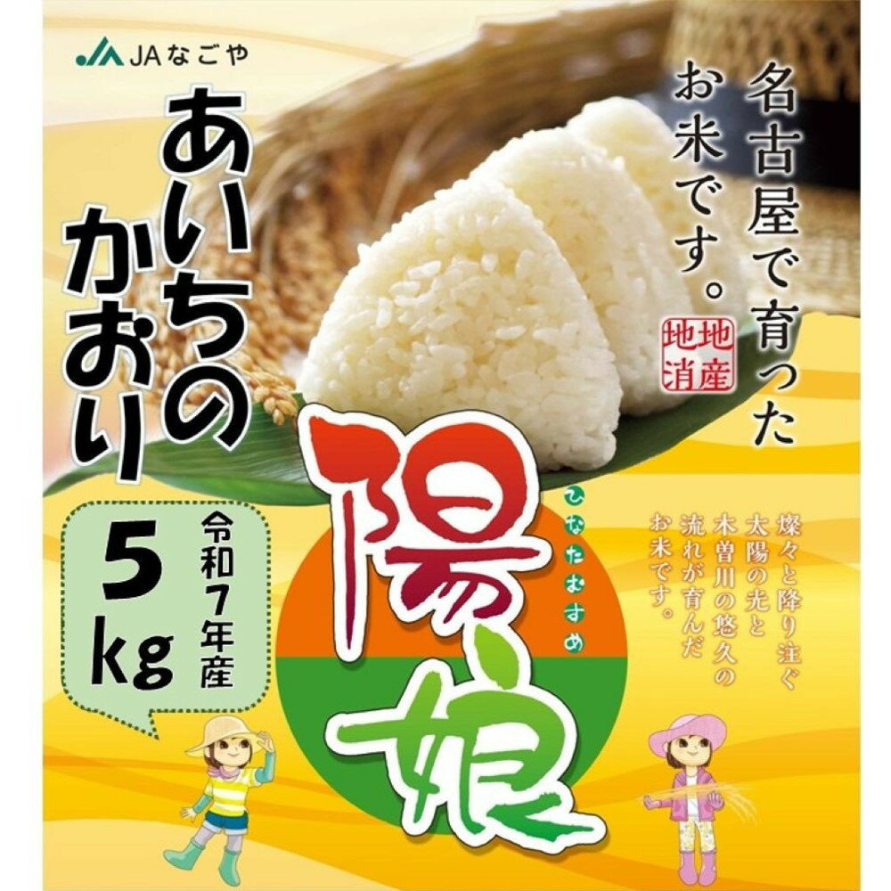 【ふるさと納税】陽娘　あいちのかおり 5kg