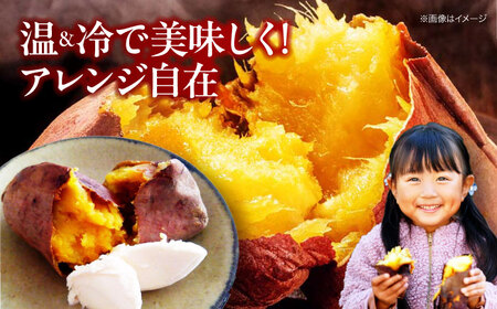 愛媛大洲育ち 熟成紅はるか焼き芋 1kg（4から6本入り） さつまいも やき芋 冷蔵 小分け 個包装 愛媛県大洲市/(有)玉井民友商店[AGBY007]
