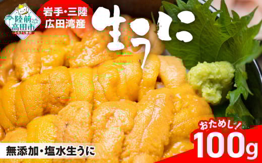 【個数限定】 生うに 100g ( 塩水パック ) 獲れたその日に出荷！ 【 ムラサキウニ 無添加 濃厚 天然 ミョウバン不使用 おためし 数量限定 三陸産 】 RT2424