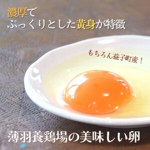 野菜 定期便 卵付き 旬の野菜セット 4人用 【12回】 益子町 AA036