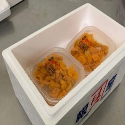 ふるさと納税 根室市 無添加塩水うに45g前後×3P[2026年1月以降発送] A-60005 |  | 01