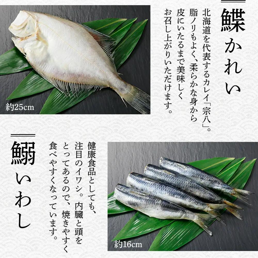 ふっくらやわらか 干物 7点セット 真ホッケ サンマ カレイ イワシ 秋鮭 コマイ ニシン 秋刀魚 宗八鰈 鰯 鮭 鰊 海鮮 ほっけ 送料無料 北海道 弟子屈町 2529