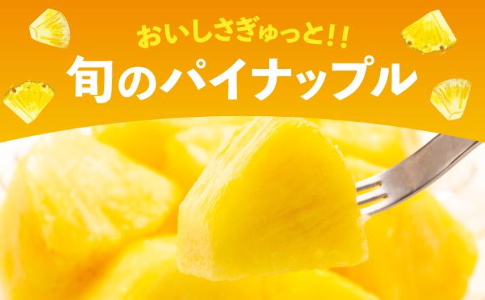 石垣島産パイナップル 2～6個 約3kg 《2026年4月下旬発送》 | ふるさと納税 パイナップル 産地直送 フルーツ 果物 沖縄県石垣市 石垣 沖縄 石垣市 石垣島 KP-14
