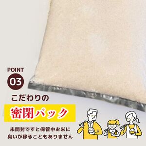 【定期便3回】ポークカレー と コシヒカリ の 贅沢セット！ | こしひかり カレー